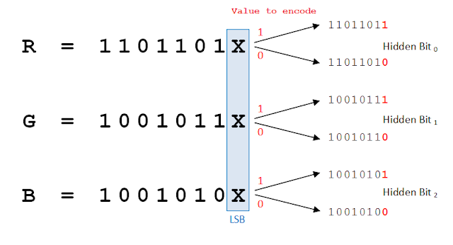 Figure 1.1